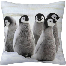 Cute Penguin Pillow Case Covers Print Decorative Throw Pillow Covers For Room Sofa cmxcm