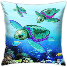 The square turtle pillowcase
