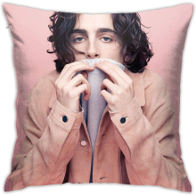 Timo-Thee Soft Chal-Amet Pillow Case Soft Anti-Pilling Pillowcase - Double-Sided Kids Super Soft Bedding 18"x18"