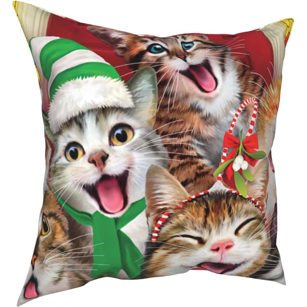 Christmas Cat With Hat Throw Pillow Covers Decorative X Pillowcase Square Cushion Cases-image-OPC-PCTS9DS-NEW
