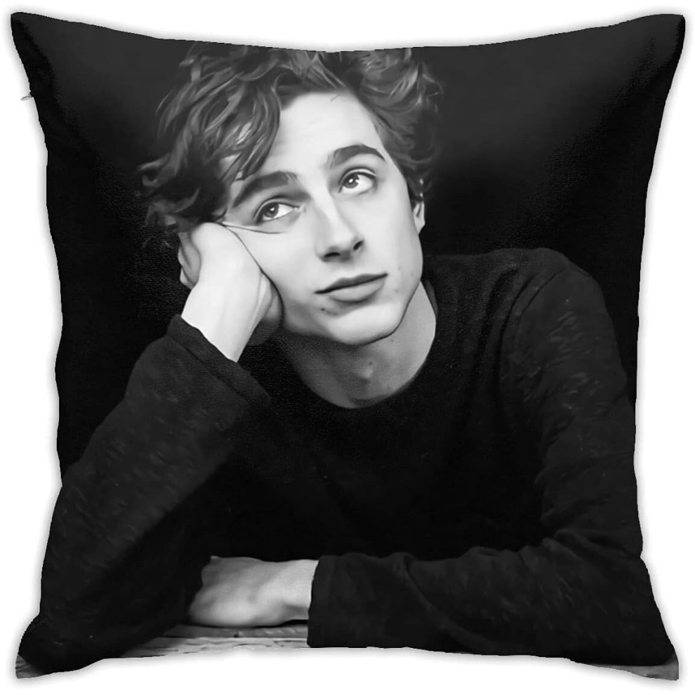 Standard Price Timothee-Chalamet Pillow Cases Pillow Cover Pattern Decor Washable for Sofa Home Decor 18"x18"-image-OPC-PCTSCJY-NEW