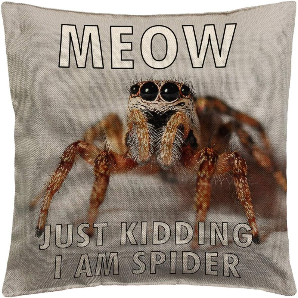 Con Air Nicolas Cage P118 Funny Pillow, Throw Pillow for Home Office Decor, Cover Linen Lined Pillow Case18"x18"-image-OPC-PCTSCXP-NEW