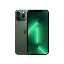 Apple iPhone 13 Pro Max (A2644 International/CN Spec) (128GB, Alpine Green) - Refurbished