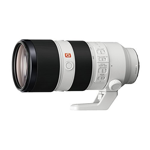 Sony Sony FE 70-200mm f/2.8 GM OSS Lens (SEL70200GM)