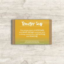Teenager Soap Bar In Gift Box Novelty Gift Idea By Dandelion Stationery