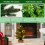 Costway 1.5FT Pre-lit Mini Christmas Tree Tabletop Xmas Tree w/ Led Light 5