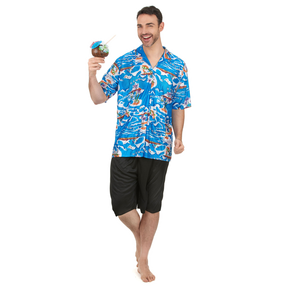 Hawaiian tourist costume for men