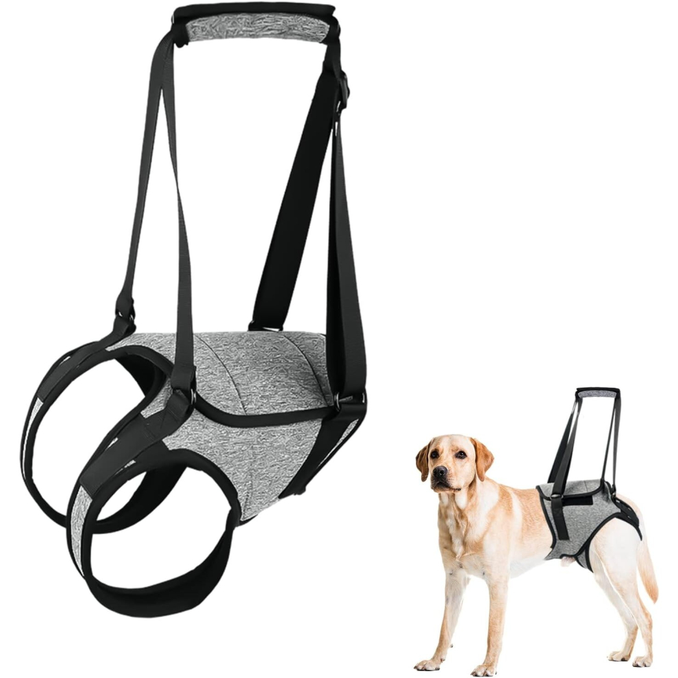 Dog Support Harness for Back Legs Large Dog Harness with Lift Handle Adjustable Puppy Harness for Pain Relief Rehabilitation Surgeries - L