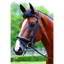 Mark Todd Performance Patent Piped Flash Bridle