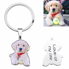 Amxiu DIY 925 Sterling Silver Key Chains Dog Cat Photos KeyChains Engraved Name Date Keychain For Women Men Special Gift