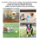 Automatic RollingBall Attract Attention Pet Interactive Toy 3