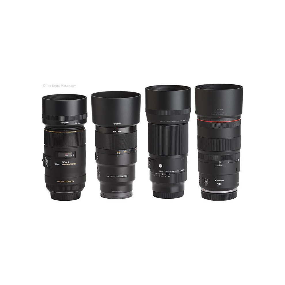 Sigma 24-70mm F2.8 DG DN Art (L Mount)