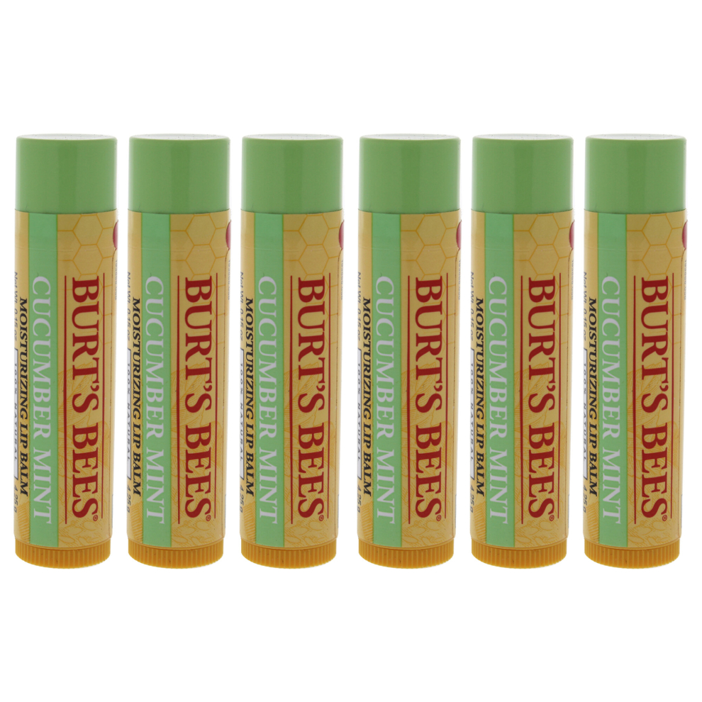 Burts Bees Cucumber Mint Moisturizing Lip Balm - Pack of 6 For Women 0.15 oz Lip Balm