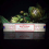 Satya Nag Champa White Sage rökelse - 12pack x 15 gram av Satya 8
