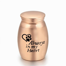 Good Memories Small Keepsake Urn Pet Paw Print Always in My Heart Cremation Ashes Urns Small Casket Dog Cat Memorials 16x25mm
