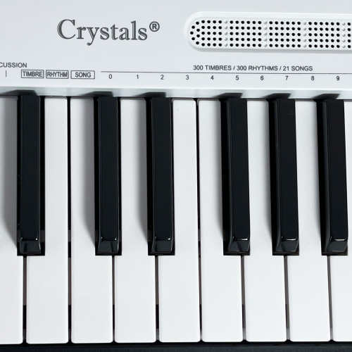 (White) 61 Keys Electric Keyboard Piano Digital Music Instrument includes Microphone 2