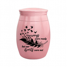 Small Keepsake Urn for Human Ashes Butterfly Mini Urn Heart Waterproof Urn Memorial Mini Cremation Urn Pink/Blue