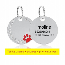 Personalized Engraved Pet Cat Dog Tag Pet Puppy Cat Id Tag Collar Accessories Name Plate Anti-Lost Pendant Metal Keyring