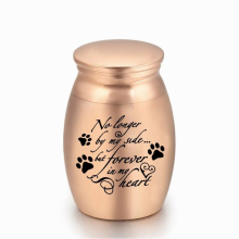 Paw Print Urns for Pet Ashes Mini Cremation Urns for Ashes Memorial Pet Ashes Holder-No Longer by My Side Forever in My Heart