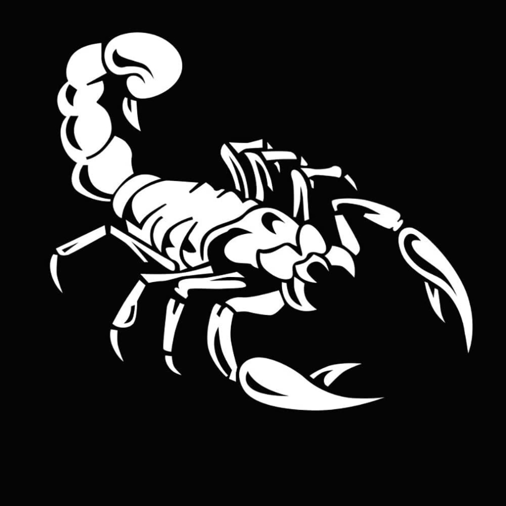 Car Sticker Automobile Car Hood Sticker 3D Waterproof Scorpions Decorative Decal Vehicle Body Sticker Animal Sticker Sticker, White 7770197815581