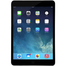 Apple iPad mini with Retina Disply 16GB WiFi Only Black/Space Gray - Refurbished