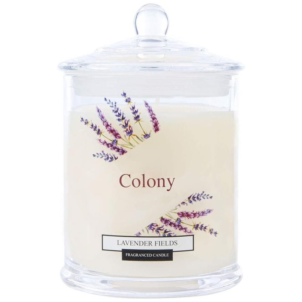 Wax Lyrical Colony Medium Jar Candle Small Lavender Fields 30 Hours Burn Time