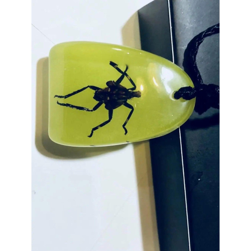 12 pcs Bug Style clavicle magic Pendant Jewelry 1