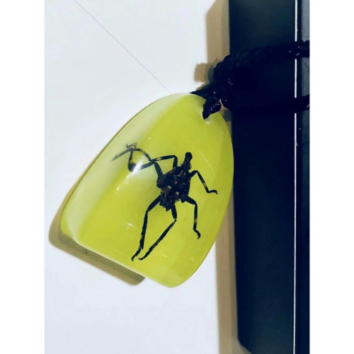 12 pcs Bug Style clavicle magic Pendant Jewelry 2