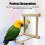 Wooden Bird Mirror Interactive Play Toy With Perch For Small Parrot Budgie 2