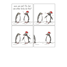 Can Other Birds Do This? Funny They Can Talk Christmas Card Animal Humour Card