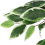 VidaXL vidaXL Ficusbaum Künstlich 756 Blätter 150 cm Grün 3