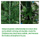 6FT 920 Branches Flocking Spray White Christmas Tree Plus Pine Cone Xmas Tree 3