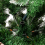6FT 920 Branches Flocking Spray White Christmas Tree Plus Pine Cone Xmas Tree 9