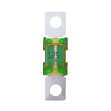 (125A) Victron MEGA fuse for 48V to 58V systems