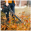 BU-KO BU-KO 26CC 2-Stroke Handheld Leaf Blower Petrol Engine 6