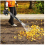 BU-KO BU-KO 26CC 2-Stroke Handheld Leaf Blower Petrol Engine 7