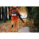 BU-KO BU-KO 79CC Petrol Backpack Leaf Blower 6