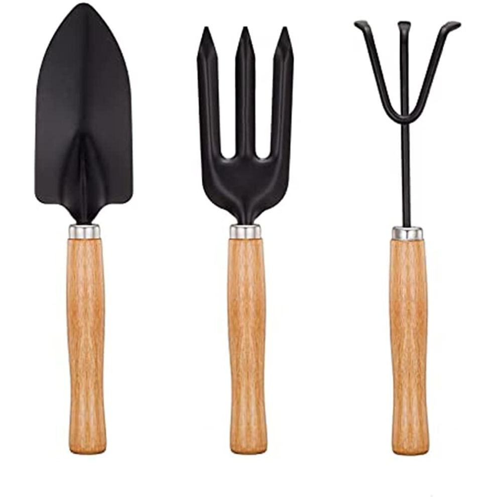 Mini Garden Tools Set of 3, Succulent Plants Tools Wood Handle Rake, Fork and Shovel, Garden Hand Transplanting Gardening Tools Set for Seedlings, Bon