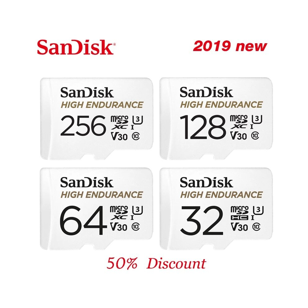 Sandisk MAX Endurance (256GB, SDSQQVR-256G-GN6IA)