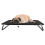 Actiaspet Medium Elevated Dog Bed Folding Camping Cot 4