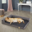 (XXL(135x100x28cm)) Dog Sofa Bed Washable Orthopedic Dog Beds 3