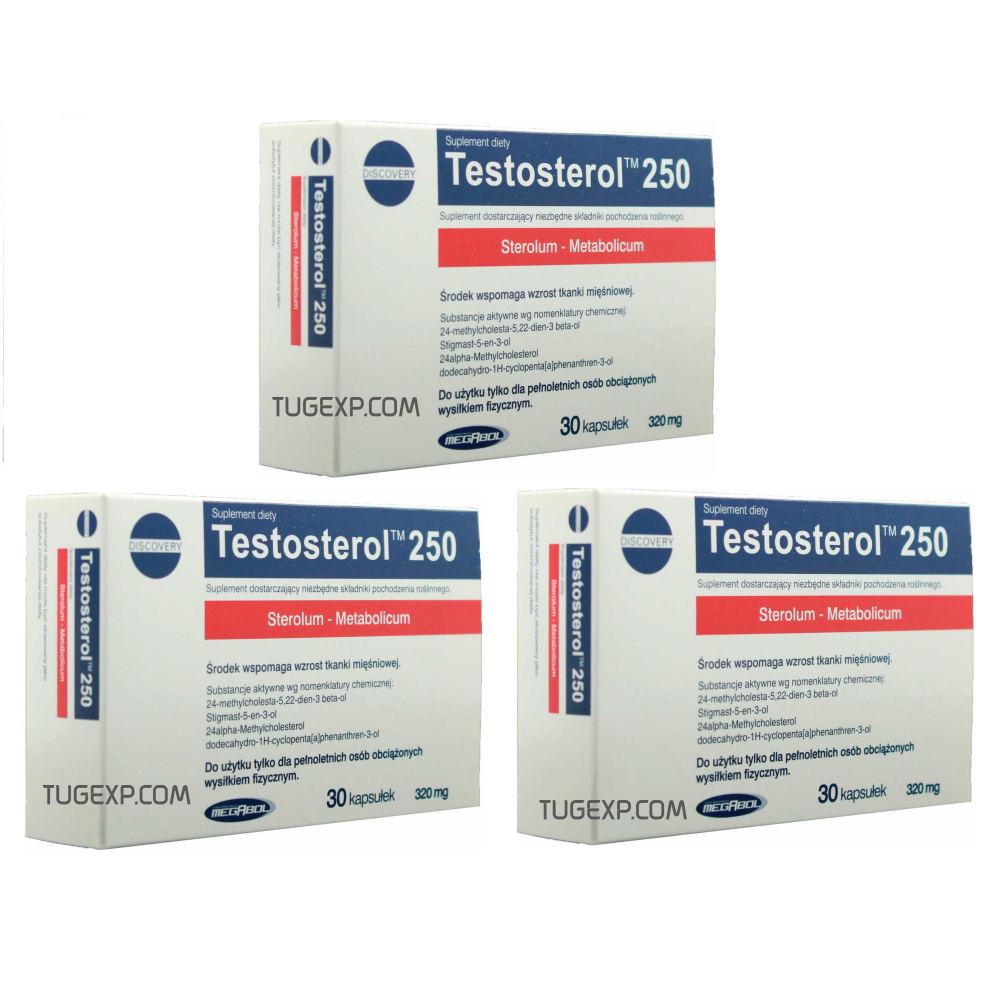 3 x Testosterol 250 Natural Testosterone Booster Anabolic Muscle