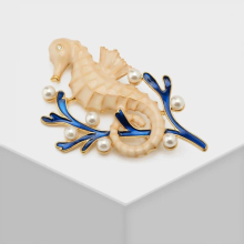 The dragon sea horse stands on the seaweed Brooches