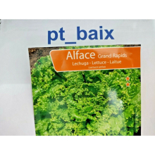 GRAND RAPIDS LEAF LETTUCE 300 SEEDS PORTUGUESE