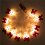 (Elk) 9.8ft Christmas Tree String Light Decorations 2