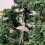 (2 x Ballerina - Silver) Christmas Tree Decorations Glitter Hanging 6