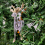 (1 x Reindeer - Silver) Christmas Tree Decorations Glitter Hanging 4