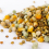 Gardeners Dream GardenersDream Four Seasons Pigeon Corn (1kg) 4