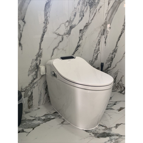 TruClean Elegance Smart Toilet 2