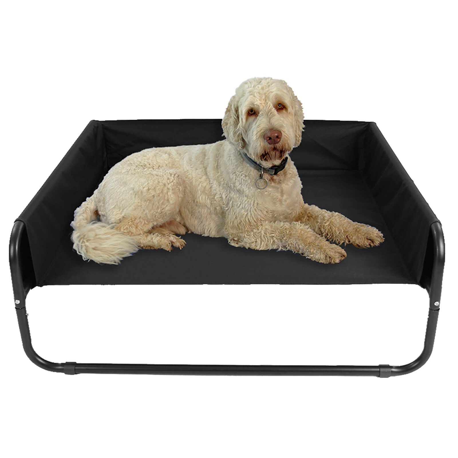 Large Elevated Dog Bed with Raised Sides by Actiaspet on OnBuy